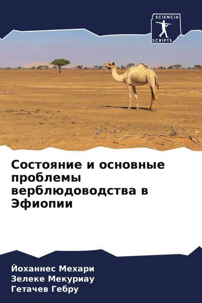 Produktbild: Sostoqnie i osnownye problemy werbl&uuml;dowodstwa w Jefiopii