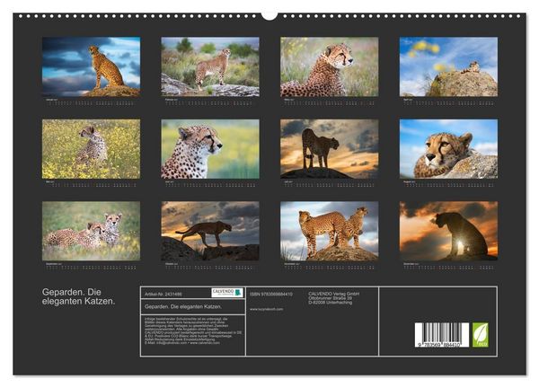 Produktbild: Geparden. Die eleganten Katzen. (hochwertiger Premium Wandkalender 2027 DIN A2 quer), Kunstdruck in Hochglanz