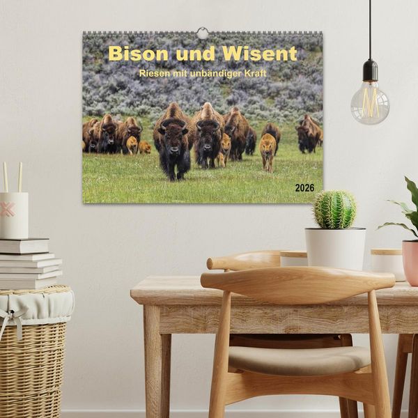 Produktbild: Bison und Wisent - Riesen mit unb&auml;ndiger Kraft (Wandkalender 2026 DIN A3 quer), CALVENDO Monatskalender