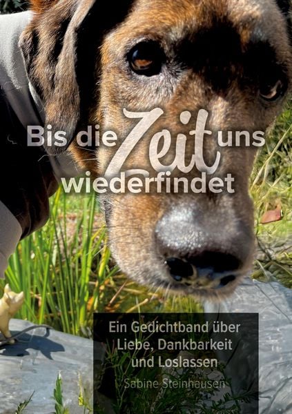 Produktbild: Bis die Zeit uns wiederfindet