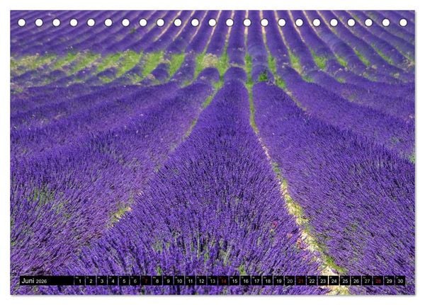 Produktbild: Provence (Tischkalender 2026 DIN A5 quer), CALVENDO Monatskalender