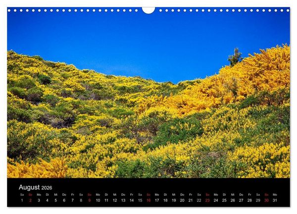 Produktbild: Naturblicke - La Palma (Wandkalender 2026 DIN A3 quer), CALVENDO Monatskalender