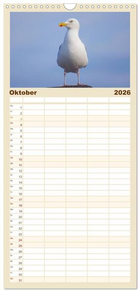 Produktbild: Familienplaner 2026 - An der Nordsee mit 5 Spalten (Wandkalender, 21 x 45 cm) CALVENDO