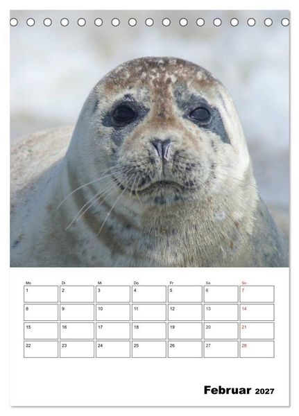 Produktbild: Liebenswerte Robben (Tischkalender 2027 DIN A5 hoch), CALVENDO Monatskalender