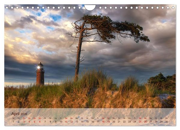 Produktbild: Moin Moin Sch&ouml;ne Stunden am Ostseestrand (Wandkalender 2026 DIN A4 quer), CALVENDO Monatskalender
