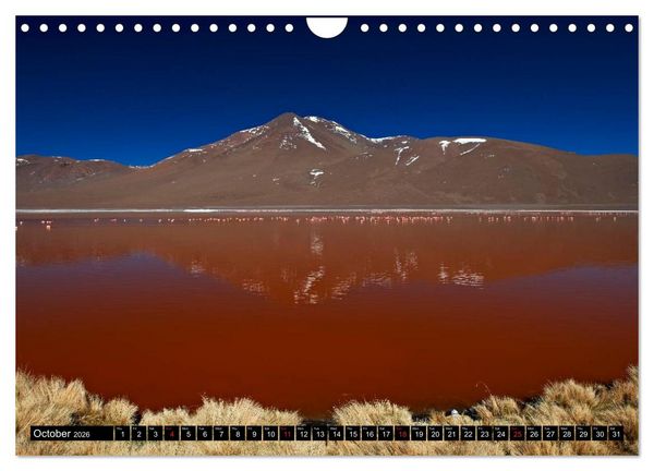 Produktbild: Bolivia Andean landscapes / UK-Version (Wall Calendar 2026 DIN A4 landscape), CALVENDO 12 Month Wall Calendar