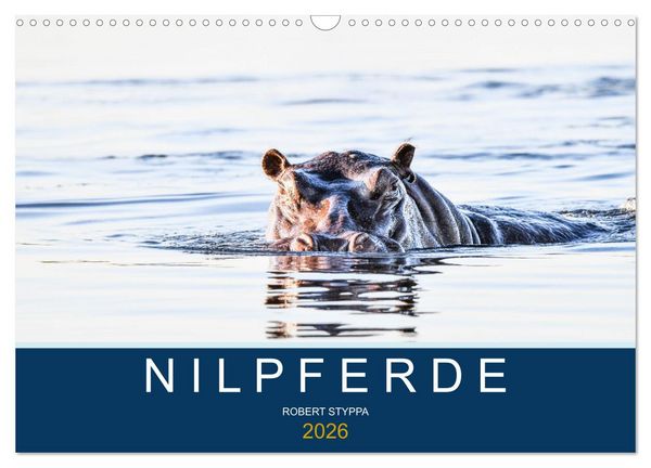 Produktbild: Nilpferde, Kolosse in Afrika (Wandkalender 2026 DIN A3 quer), CALVENDO Monatskalender