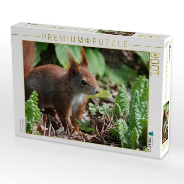 Produktbild: Putziges Eichh&ouml;rnchen (Puzzle)