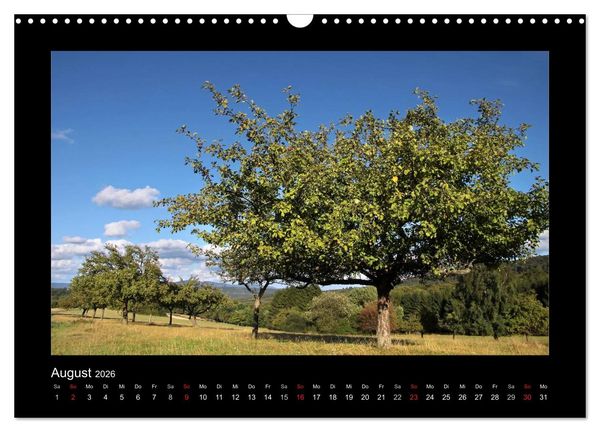 Produktbild: Taunus (Wandkalender 2026 DIN A3 quer), CALVENDO Monatskalender