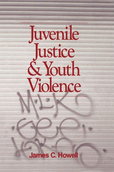 Produktbild: Juvenile Justice and Youth Violence