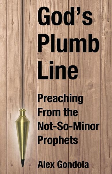 Produktbild: God's Plumb Line