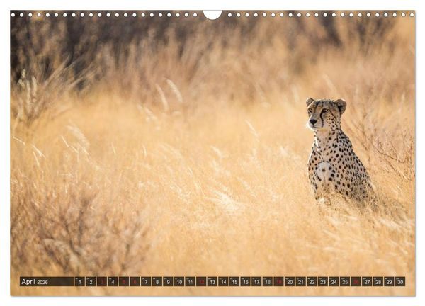 Produktbild: Kenia 2026 (Wandkalender 2026 DIN A3 quer), CALVENDO Monatskalender