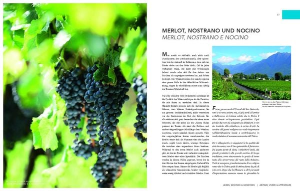 Produktbild: Leben, Wohnen und Genie&szlig;en N&ouml;rdliches Tessin