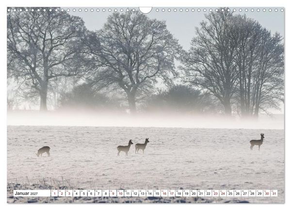 Produktbild: Wildtiere im M&uuml;ritz-Nationalpark (Wandkalender 2027 DIN A3 quer), CALVENDO Monatskalender