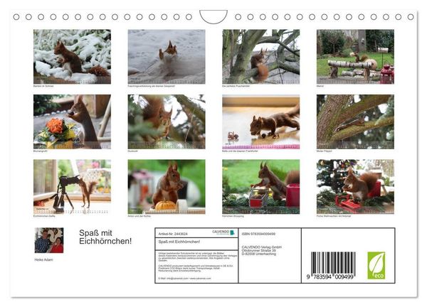 Produktbild: Spa&szlig; mit Eichh&ouml;rnchen! (Wandkalender 2027 DIN A4 quer), CALVENDO Monatskalender