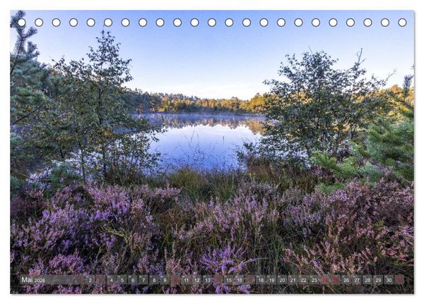 Produktbild: Die L&uuml;neburger Heide - In voller Bl&uuml;te (Tischkalender 2026 DIN A5 quer), CALVENDO Monatskalender