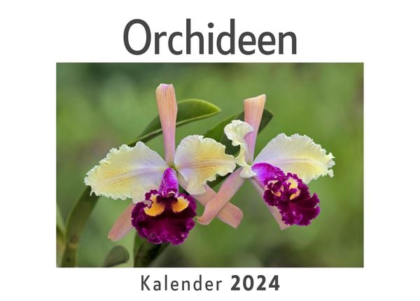 Produktbild: Orchideen (Wandkalender 2024, Kalender DIN A4 quer, Monatskalender im Querformat mit Kalendarium, Das perfekte Geschenk)