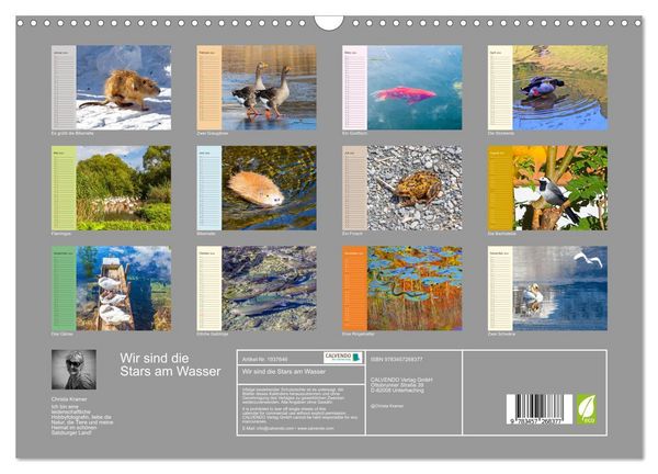 Produktbild: Wir sind die Stars am Wasser (Wandkalender 2026 DIN A3 quer), CALVENDO Monatskalender