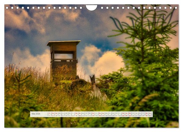 Produktbild: Die Vielfalt des Th&uuml;ringer Waldes (Wandkalender 2026 DIN A4 quer), CALVENDO Monatskalender