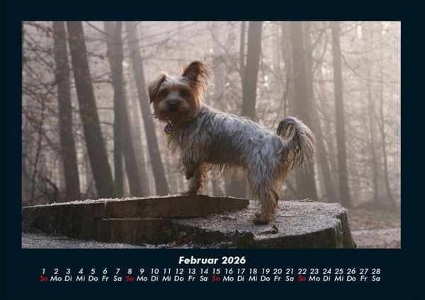 Produktbild: Hundezauber 2026 Fotokalender DIN A4