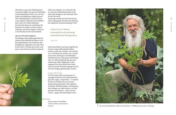 Produktbild: Die "Unkr&auml;uter" in meinem Garten