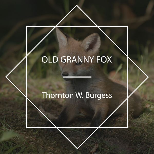 Produktbild: Old Granny Fox
