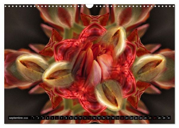 Produktbild: Bouquet d'un jour, bouquet pour toujours (Calendrier mural 2026 DIN A3 vertical), CALVENDO calendrier mensuel