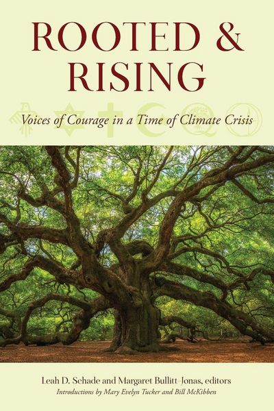 Produktbild: Rooted and Rising