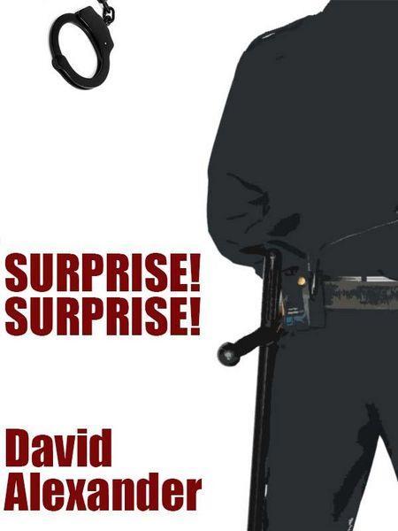 Produktbild: Surprise! Surprise!