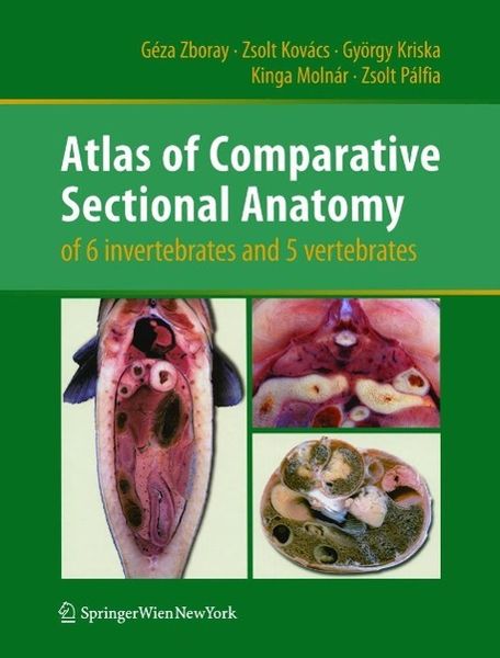 Produktbild: Atlas of Comparative Sectional Anatomy of 6 invertebrates and 5 vertebrates