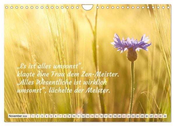 Produktbild: Und der Zen-Meister sprach (Wandkalender 2026 DIN A4 quer), CALVENDO Monatskalender