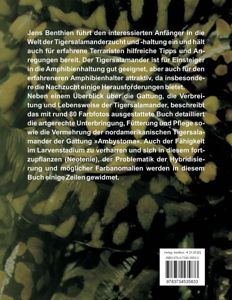 Produktbild: Tigersalamander