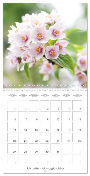 Produktbild: Arbres et arbustes la floraison (Calendrier mural carr&eacute; 2026 30x30 cm) Calendrier double avec une page pour vos prises de notes