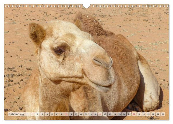 Produktbild: Oman - Impressionen (Wandkalender 2026 DIN A3 quer), CALVENDO Monatskalender