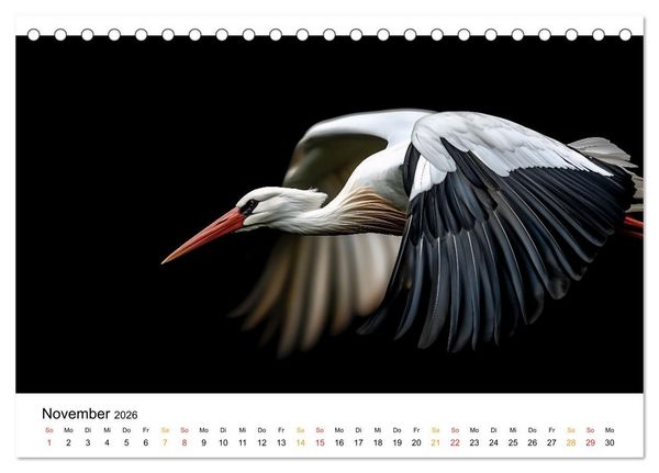 Produktbild: Wilde Heimat - V&ouml;gel unserer Natur (Tischkalender 2026 DIN A5 quer), CALVENDO Monatskalender
