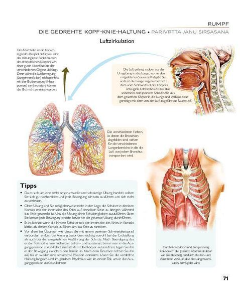 Anatomie des Yoga: Der vollständig illustrierte Ratgeber für