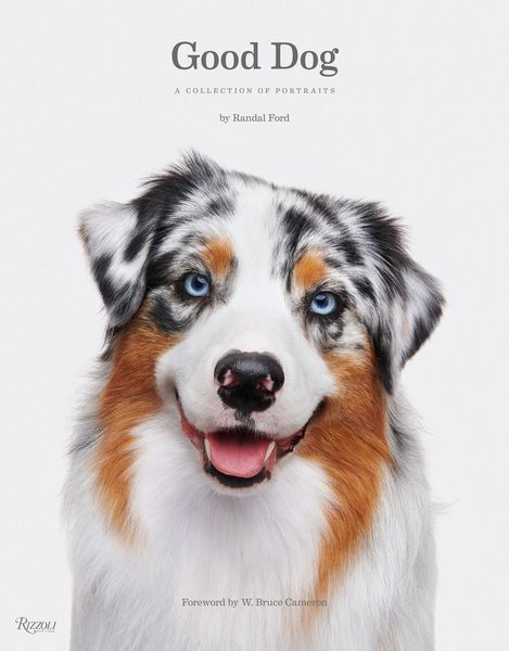 Produktbild: Good Dog