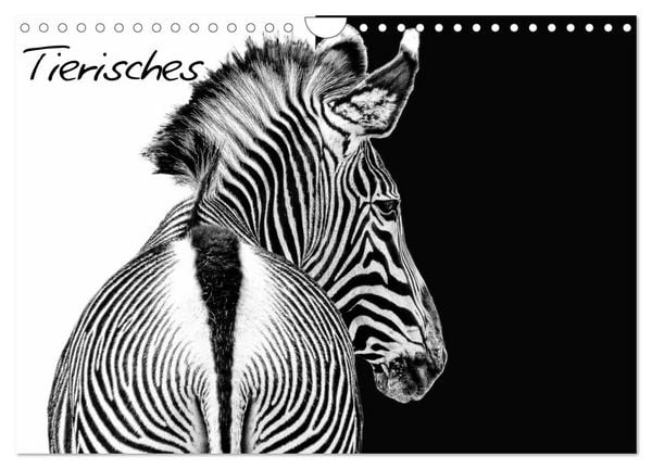 Produktbild: Tierisches (Wandkalender 2026 DIN A4 quer), CALVENDO Monatskalender