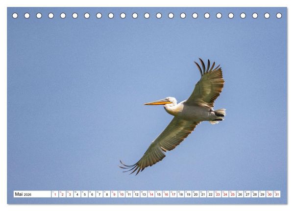 Produktbild: Vogelparadies Volvi-See (Tischkalender 2026 DIN A5 quer), CALVENDO Monatskalender