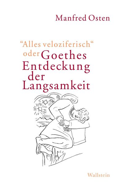 Produktbild: 'Alles veloziferisch' oder Goethes Entdeckung der Langsamkeit