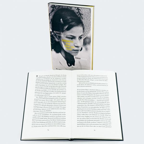 Produktbild: Gebranntes Kind sucht das Feuer