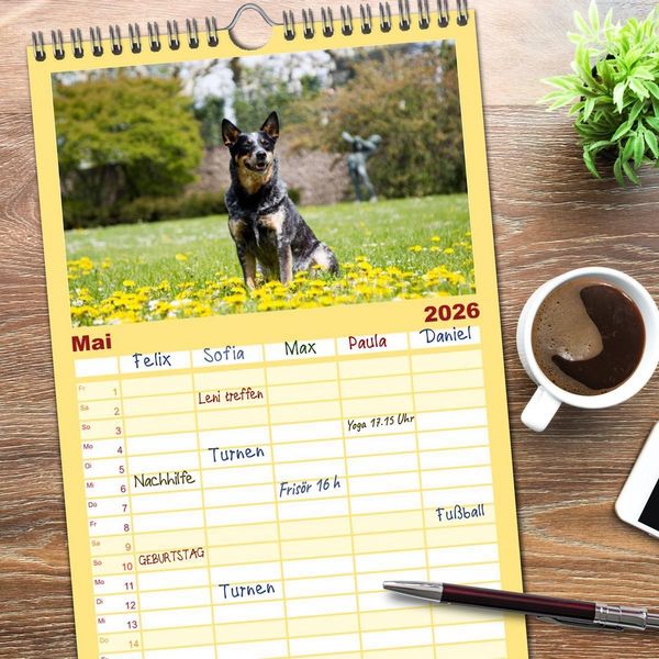 Produktbild: Familienplaner 2026 - Australian Cattle Dogs zwischen Kunst und Kultur mit 5 Spalten (Wandkalender, 21 x 45 cm) CALVENDO
