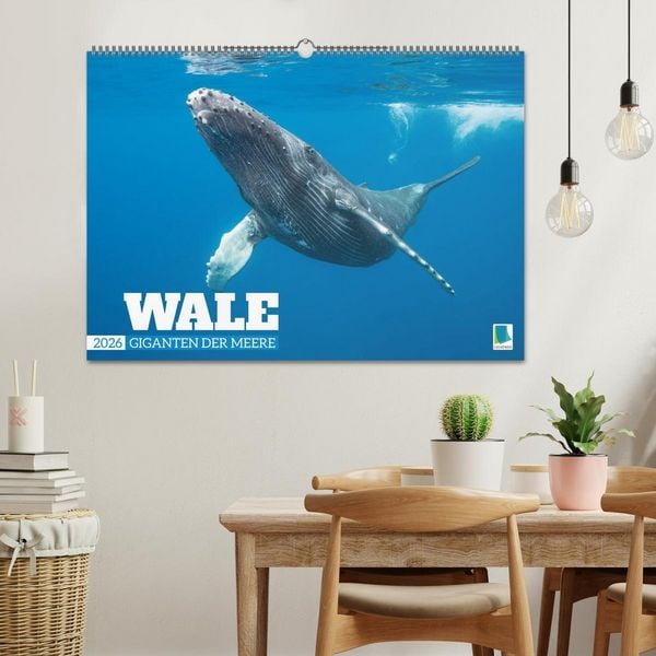 Produktbild: Wale: Giganten der Meere (Wandkalender 2026 DIN A2 quer), CALVENDO Monatskalender