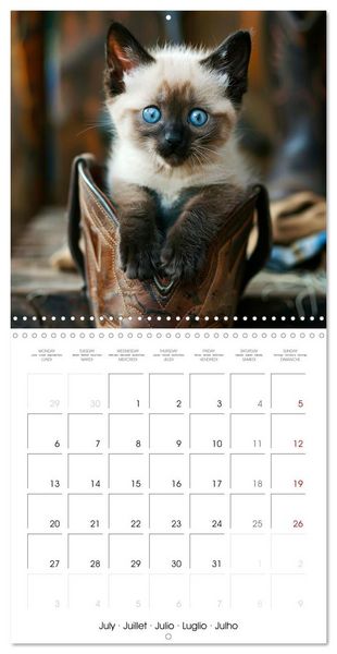 Produktbild: KITTEN Cuteness overload (Wall Calendar 2026 12 &times; 12 Inch) CALVENDO 12 Month Wall Calendar
