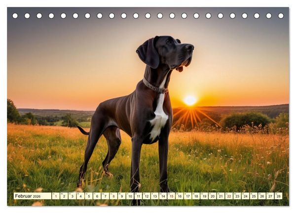 Produktbild: Molosser - Gigantischer Kuschelfaktor (Tischkalender 2026 DIN A5 quer), CALVENDO Monatskalender