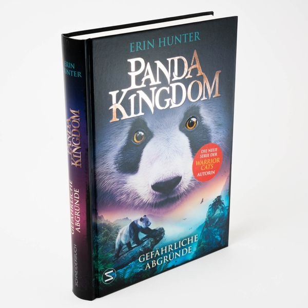 Produktbild: Panda Kingdom - Gef&auml;hrliche Abgr&uuml;nde