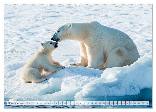 Produktbild: Bedrohte Tierwelt SCHATTEN DES VERSCHWINDENS (Wandkalender 2026 DIN A2 quer), CALVENDO Monatskalender
