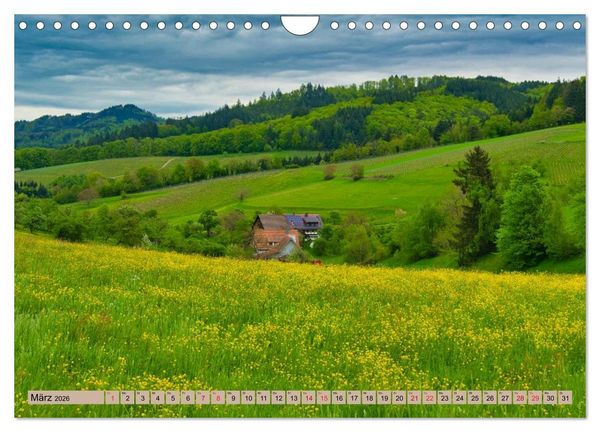 Produktbild: Freiburg Regio (Wandkalender 2026 DIN A4 quer), CALVENDO Monatskalender