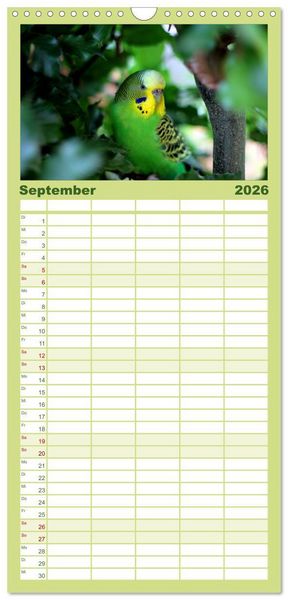 Produktbild: Familienplaner 2026 - Wellensittiche mit 5 Spalten (Wandkalender, 21 x 45 cm) CALVENDO