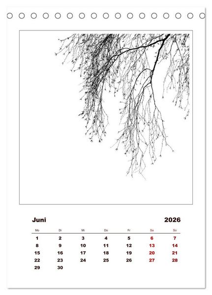 Produktbild: LignoGrafica - Muster und Strukturen der B&auml;ume (Tischkalender 2026 DIN A5 hoch), CALVENDO Monatskalender
